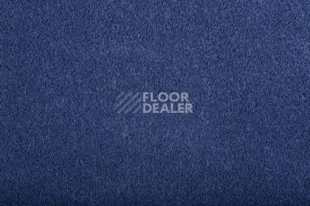 Ковролин Condor Carrera 82 фото 1 | FLOORDEALER